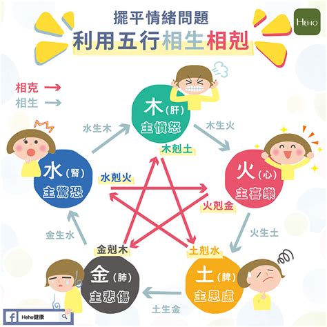 五行 情緒|五行情緒舒解法